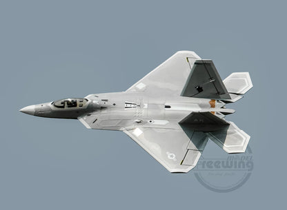 New Products In 2025 Freewing Flying Wing Model 70mm F-22 Raptor "Raptor" Ducted Model Airplane Toy Model