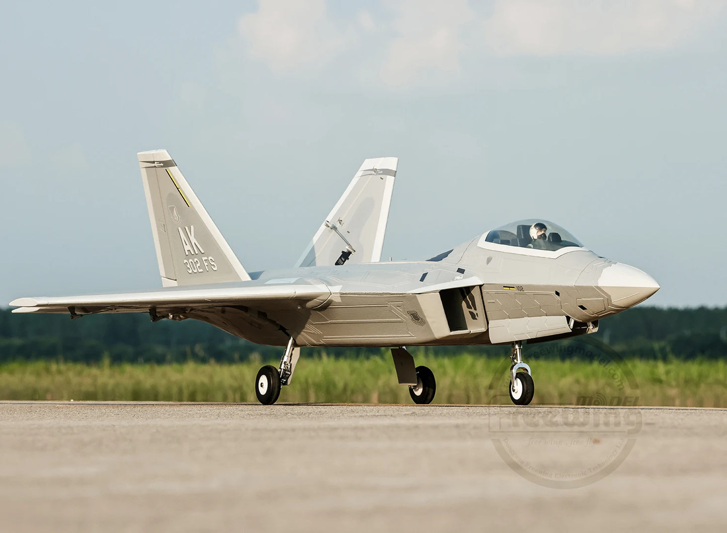 New Products In 2025 Freewing Flying Wing Model 70mm F-22 Raptor "Raptor" Ducted Model Airplane Toy Model