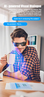 Smart Glasses for Men Women Translation Earphones AI Voice Assistant Sunglasses HD Camera Function Photo Video Music Glasses