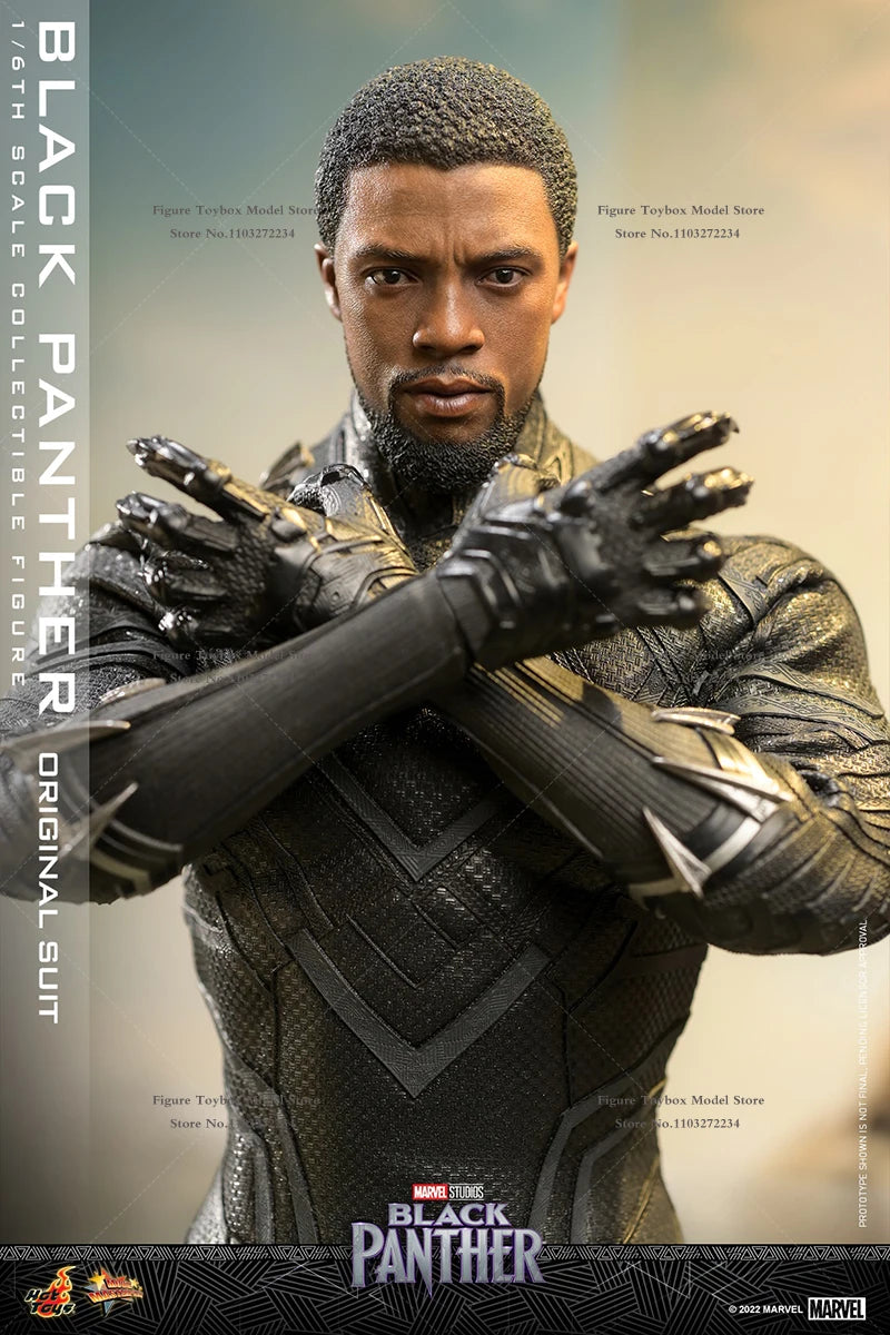 HOTTOYS HT MMS671 1/6 Scale Black Panther Movable Action Figure Marvel Immortal Legend Super Hero 12" Full Set Soldier Model