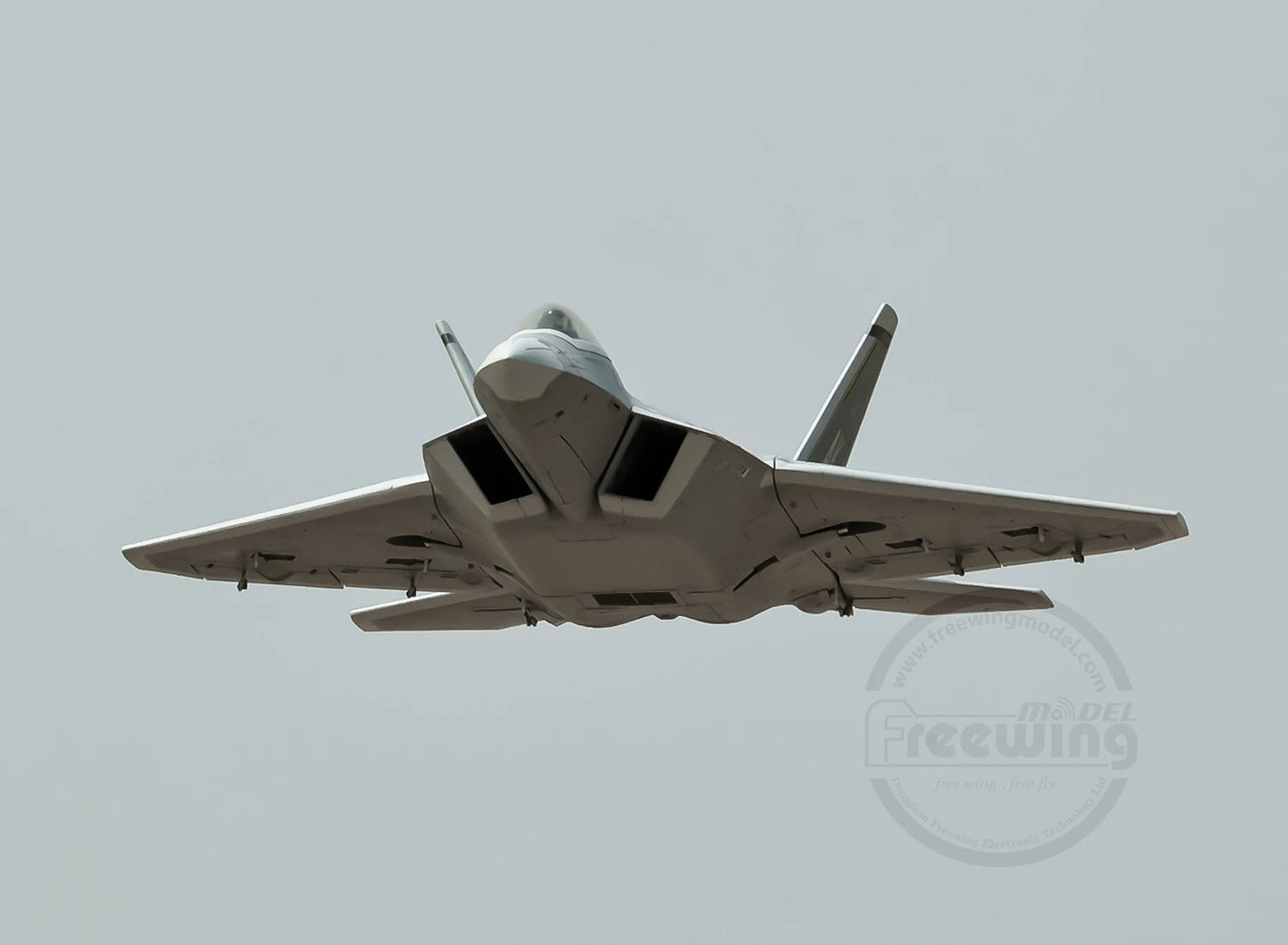 New Products In 2025 Freewing Flying Wing Model 70mm F-22 Raptor "Raptor" Ducted Model Airplane Toy Model