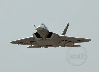 New Products In 2025 Freewing Flying Wing Model 70mm F-22 Raptor "Raptor" Ducted Model Airplane Toy Model