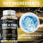 Creatine Monohydrate Supplement - To Help Build Muscle, Enhance Energy and Performance