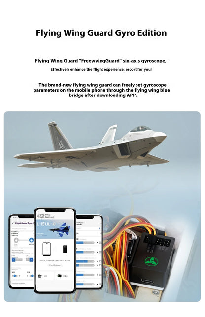New Products In 2025 Freewing Flying Wing Model 70mm F-22 Raptor "Raptor" Ducted Model Airplane Toy Model