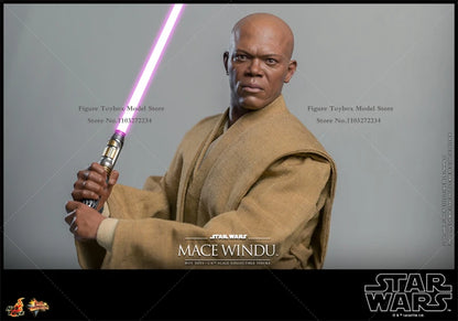 HOTTOYS HT  MMS681 1/6 Mace WinduTM Collectible Figure Star Wars Episode II Attack of the Clones 12" Full Set Male Soldier