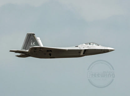 New Products In 2025 Freewing Flying Wing Model 70mm F-22 Raptor "Raptor" Ducted Model Airplane Toy Model