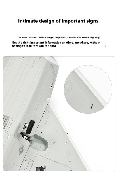 New Products In 2025 Freewing Flying Wing Model 70mm F-22 Raptor "Raptor" Ducted Model Airplane Toy Model